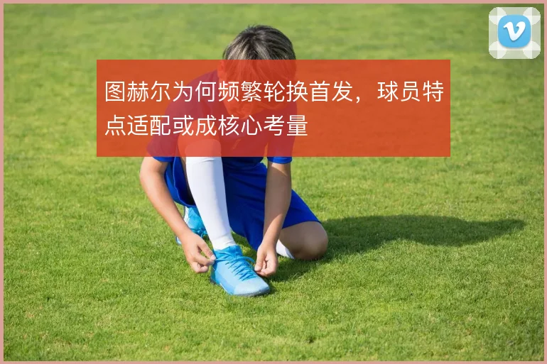 图赫尔为何频繁轮换首发，球员特点适配或成核心考量