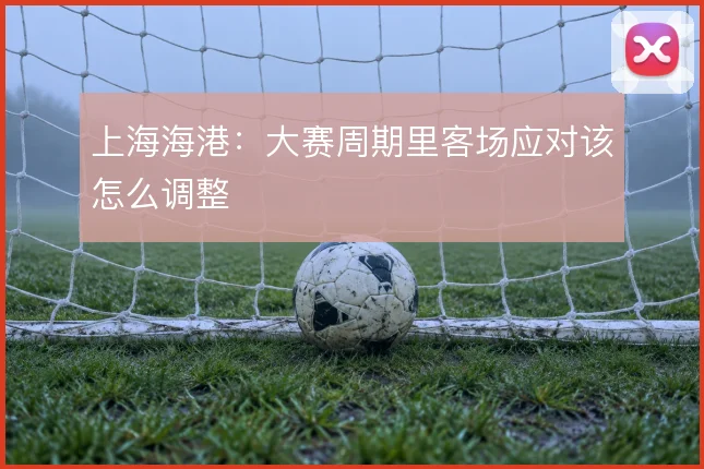 上海海港:大赛周期里客场应对该怎么调整